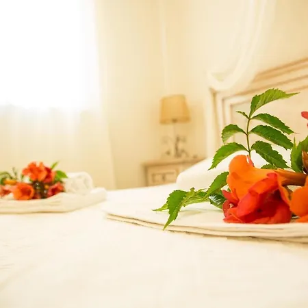 Farm stay Agriturismo Colle Mura Collemincio