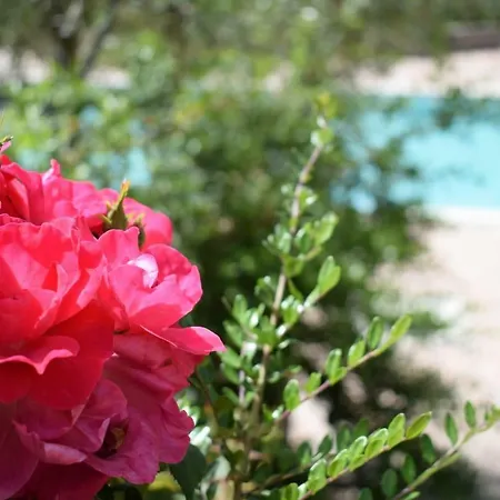 Farm stay Agriturismo Colle Mura *